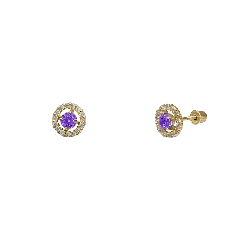 silver earrings for women-Zirconia Round Halo Stud Earrings