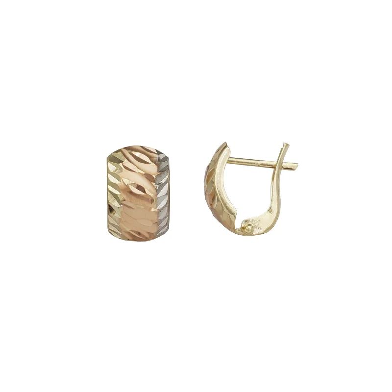 classic earrings for women-Tricolor Diamond-cuts Earrings (14K)